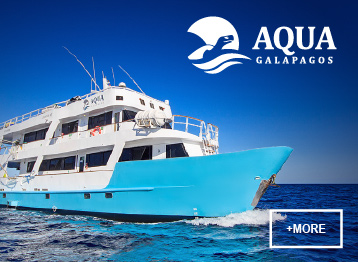 ATC Cruises Galapagos Islands safe travel diving adventure Aqua Yacht