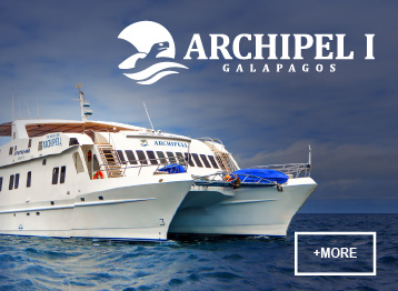 ATC Cruises Galapagos Islands safe travel confort vacations Catamaran Archipel 1
