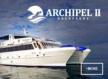ATC Cruises Galapagos Islands safe travel family vacations Archipel 2