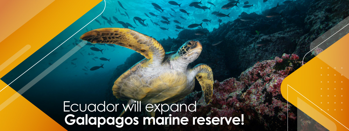 Good news for all of us who love the Galapagos