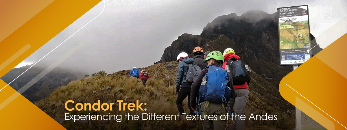 Experiencing the different textures of the Andes in the Condor Trek