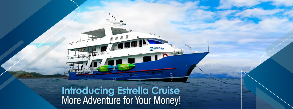 Estrella-cruise-galapagos-islands-naturalist-navigation