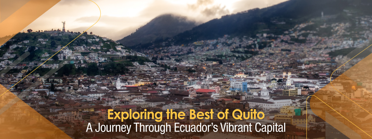 llama-travel-ecuador-discover-quito-dmc