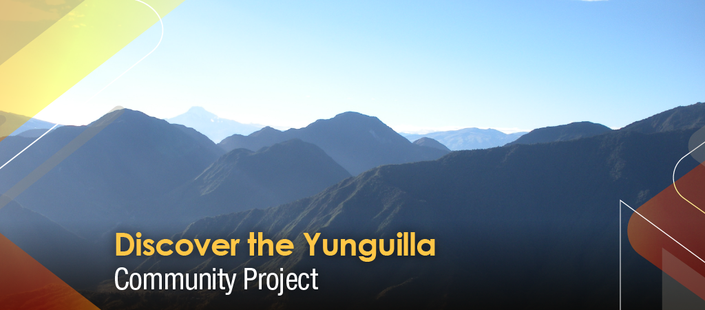 Cloud forest: Discover the Yunguilla Community Project