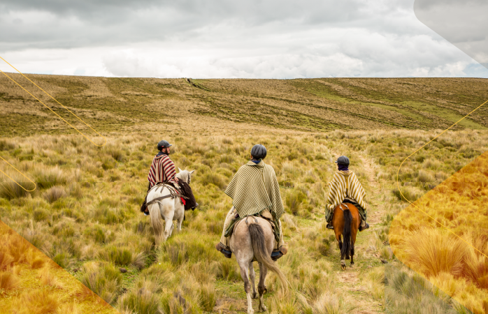 hacienda-el-porvenir-HourseRiding