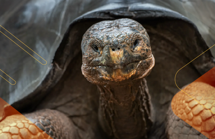 Wildlife-Wonders-Galapagos-andeantravel-ecuador