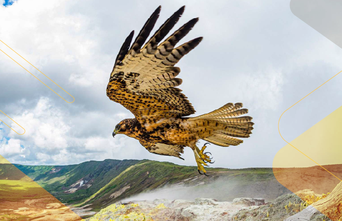 Wildlife-Wonders-Galapagos-andeantravel-ecuador