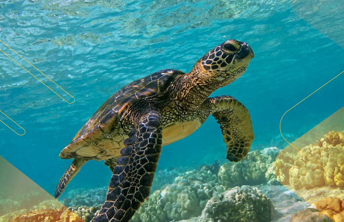 Wildlife-Wonders-Galapagos-andeantravel-ecuador