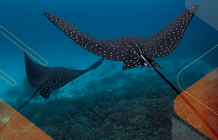 Wildlife-Wonders-Galapagos-andeantravel-ecuador