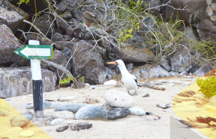 Across-Ecuador-Four-Worlds-andeantravelcompany-usa-europe