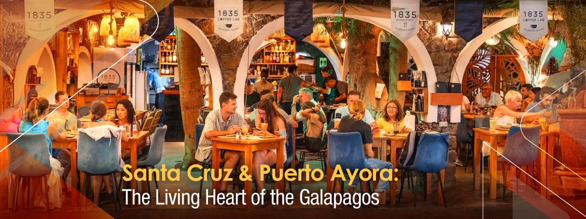 Santa Cruz & Puerto Ayora: The Living Heart of the Galapagos