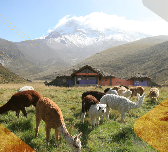 ecuador-how-to-sell-andeantravelcompany