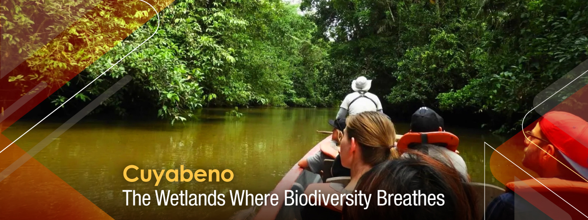 Cuyabeno: The Wetlands Where Biodiversity Breathes