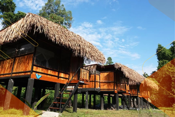 Cuyabeno-The-Wetlands-amazon-ecuador