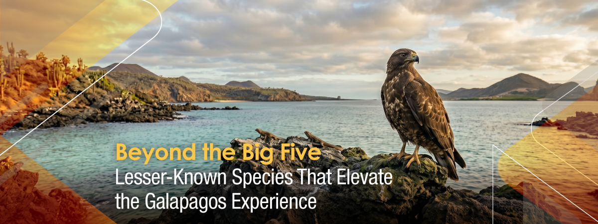 Lesser-Known-Species-That-Elevate-Galapagos-Experience