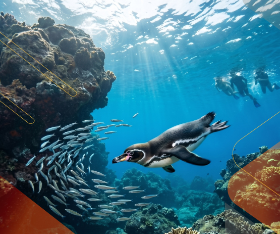 Lesser-Known-Species-That-Elevate-Galapagos-Experience