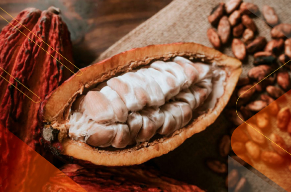 5Culinary-Gems-in-Ecuador-food-experience